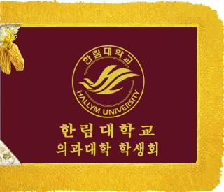 03-002 한림대학교 의과대학 학생회